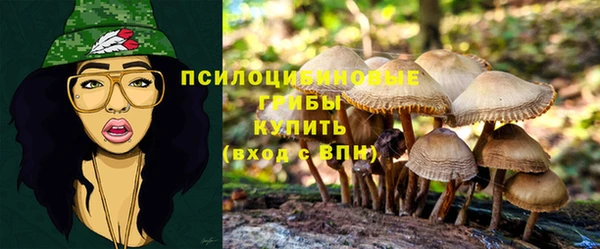 стафф Бутурлиновка